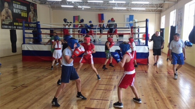Юные боксеры приняли участие в учебно-тренировочных сборах